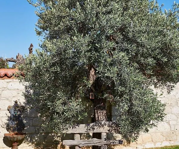 Alakapi & * Αλακάτι