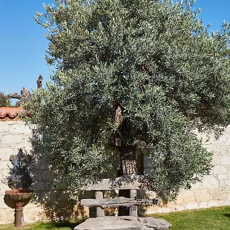 Alakapi & * Alacati