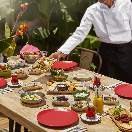 Alakapi & * アラカティ